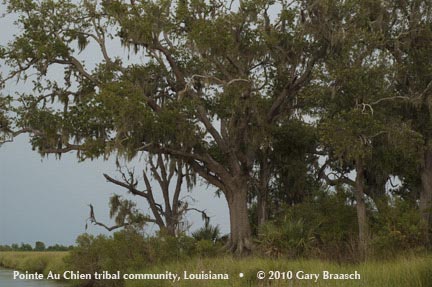 Gulf Oil Spill Photos