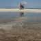 Gulf Oil Spill Photos
