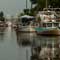 Gulf Oil Spill Photos