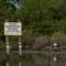 Gulf Oil Spill Photos