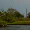 Gulf Oil Spill Photos