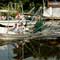 Gulf Oil Spill Photos