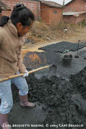 make their own briquettes