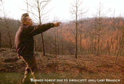 drought that helped spread forest fires