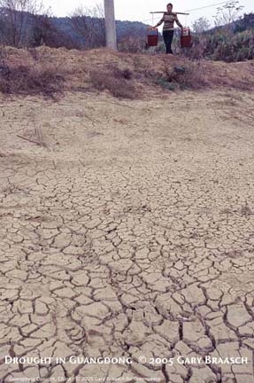 dried up fish ponds